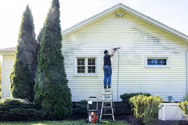 Best House Pressure Washing  in Paris, IL