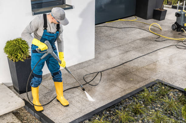 Best Local Pressure Washing Services  in Paris, IL